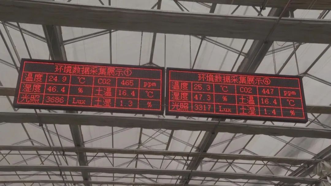 WM视讯?(中国)官方网站